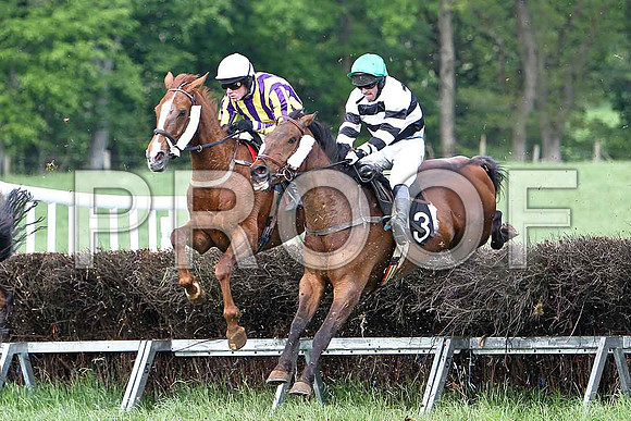 Race 6 Div 1 - Tanzad (28) 4th, Rider B O'Neill & Belfry Boy (3) 7th, Rider R M Johnson - CU2D9764-e