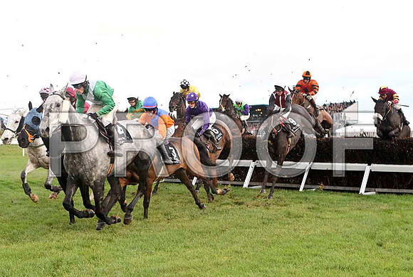Havagoodsip , Jockey P W Flood - 4th - FT8E4889-e