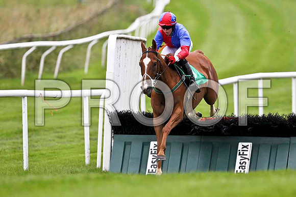 McSwynes Bay winner, Jockey K M Donoghue - FT8E1758-e