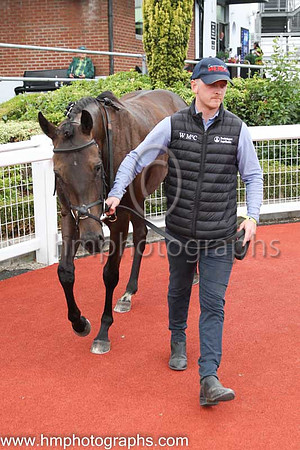 01st Ocean Jewel (4 , black ) Jockey: W J Lee , Trainer: W McCreery