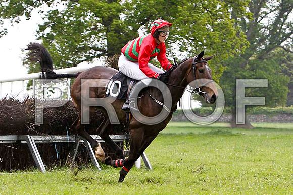 Educated Guess , 7th, Jockey Ms C V Annan  - FT8E2606-e