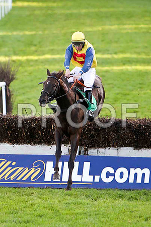 Maggie Sue , Jockey M J Bolger - 6th - CU2D9464-e
