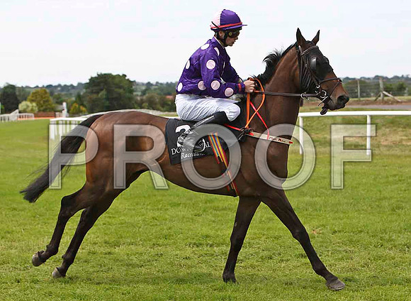Pittori 4th, Jockey D E Mullins - CU2D0444-e