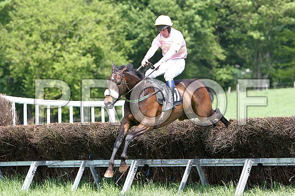 First Race - Spice Hill (17) Winner, Rider JD Moore - CU2D9547-e