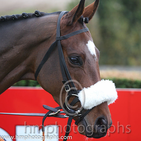 07 Tiger Roll and B J Cooper - PU - 07th (2 ,maroon white star ) Trainer - G Elliott