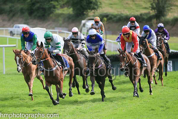 01st Another Choice (1 , green and white hlvs ) Jockey: Paul Townend , Trainer: Matthew J Smith