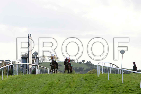 Bachelor Lad wins from Gold Sensation - FT8E2877-e