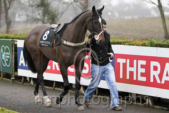 Cute N'Willin 6th, Jockey Mr P Burke - CU2D2123-e