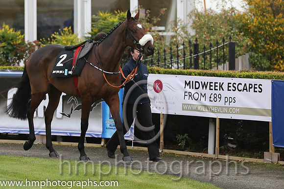 07 Tiger Roll and B J Cooper - PU - 07th (2 ,maroon white star ) Trainer - G Elliott