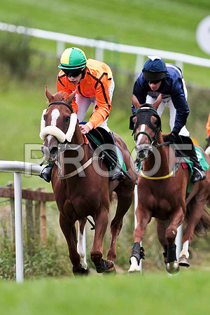 Tarwiyna - 9th , Jockey I J McCarthy & Sally May - 7th , Jockey P Carberry - CU2D9461-e
