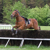 2014/05/17th - Race 1 The Fermanagh Harriers Hunt Point to Point Steeplechases at Necarne