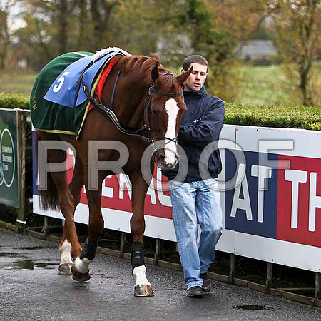 Apt approach , Jockey P Townend - 5th - CU2D1166-e