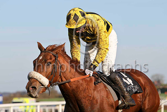 Mulleady , 11th - Jockey R M Moran - FT8E6449-e