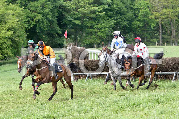 Race 6 Div 1 - Alexandra's Boy (1) PU, Rider D A Treacy, Crankie Frankie (5) 2nd, Rider W G Rankin, Grand Cherokee (11) 6th, Rider P J Cosgrove & Dunsford Park (8) 5th, Rider E Magee- CU2D9750-e