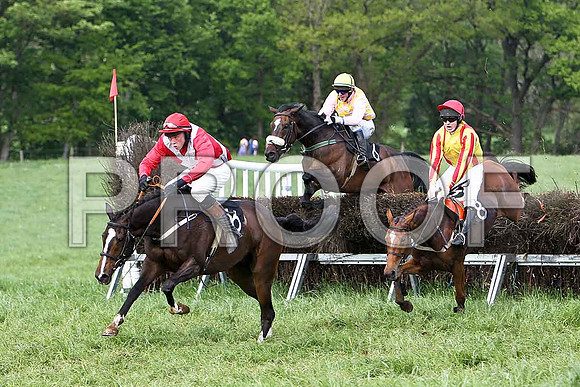 Fifth Race Div 1 - Carlinty (16) Winner, Rider W Thompson, Lady Shirley (6) 3rd, Rider B G Crawford & The Wee Girl (8) 2nd C McNally  - CU2D9662-e