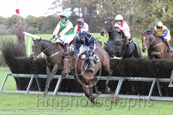 01 Lawless Island & R A Latta - winner (28, emerald green, orange spots) - FT8E9392-46