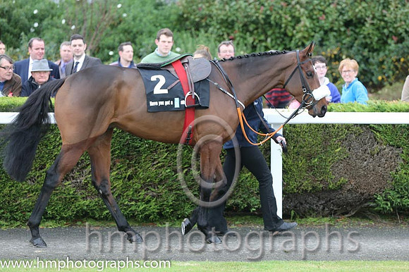 07 Tiger Roll and B J Cooper - PU - 07th (2 ,maroon white star ) Trainer - G Elliott