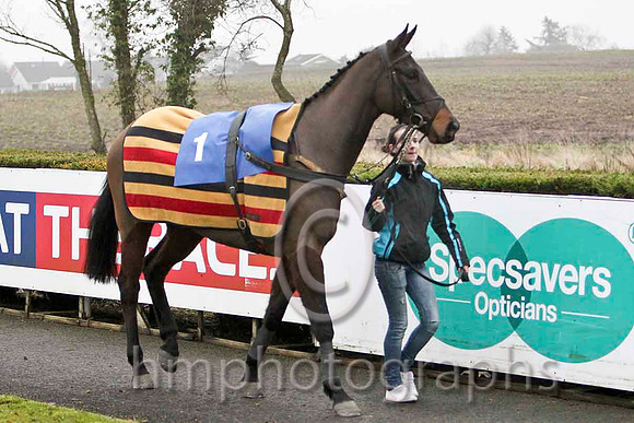 Bobdaholligan - 10th, Jockey Ms L O'Neill -  - CU2D2128-e