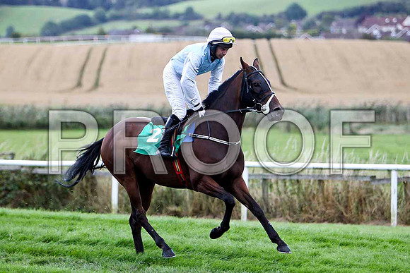 Strolling Home - 6th , Jockey A P Thornton - FT8E3917-e
