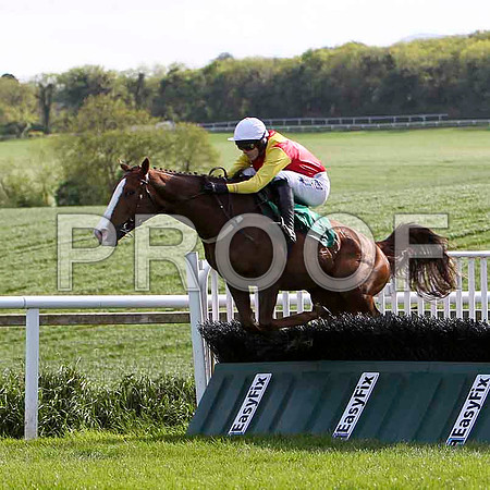 Bachelor Lad, winner, Jockey Andrew McNamara - FT8E2859-e