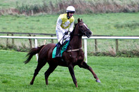 Kyoto Summit , 8th - Jockey I J McCarthy - FT8E5269-e
