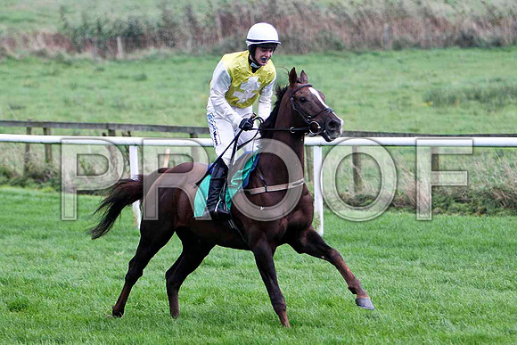 Kyoto Summit , 8th - Jockey I J McCarthy - FT8E5269-e