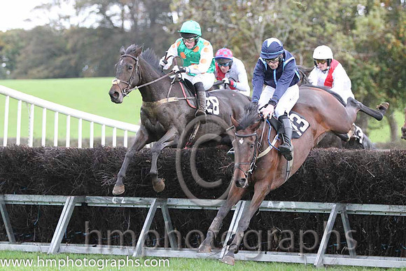 01 Lawless Island & R A Latta - winner (28, emerald green, orange spots) - FT8E9390-44