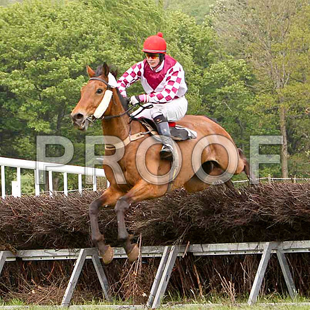 Im A Witness, Unplaced, Jockey J J Slevin - FT8E2547-e