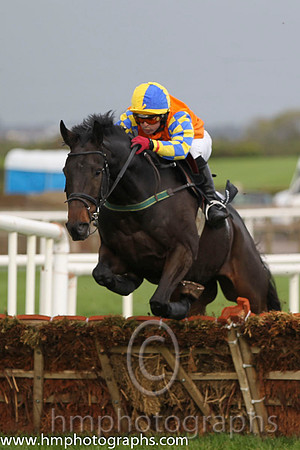 01 Gilt Shadow & Mr S Crawford - winner (1, orange, royal blue star) - FT8E0280-Edit-94