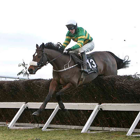 Moville 8th, Jockey M P Walsh - FT8E9974-e