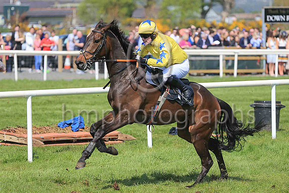 18th Royal Chorus and D F O?Regan ( 15 , yellow, royal blue star on sleeves ) Trainer - A J Martin , Owner - Who?smindingthekids Syndicate