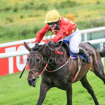 01st Biko Miss O'Sullivan ( 2 , blue  white hoops ) Trainer - P Martin , Owner - E Duignan