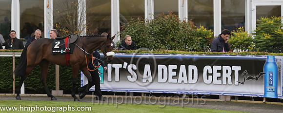 07 Tiger Roll and B J Cooper - PU - 07th (2 ,maroon white star ) Trainer - G Elliott