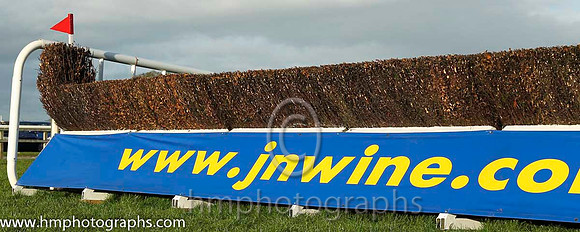 Down Royal - CU2D9058-8
