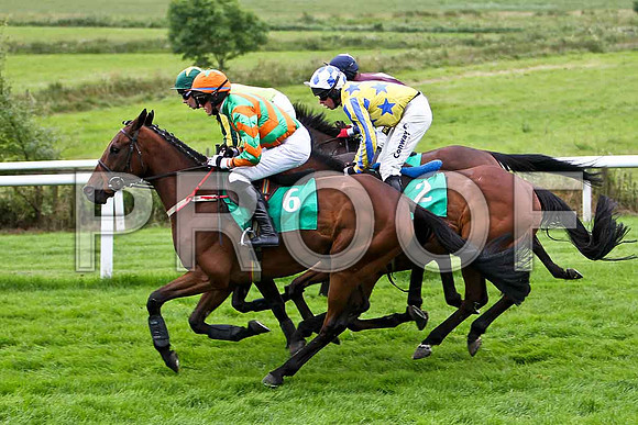 Korean (6) 6th, Jockey S J Hassett - CU2D0924-e