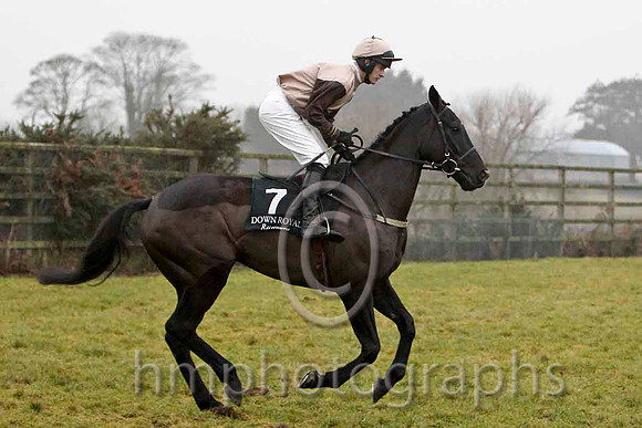 Rathmoyle House 7th, Jockey Mr M J O'Hare - CU2D2153-e