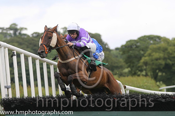 02 Dancing Roe & A P Crowe - 2nd (1, purple and white hoops) - AA1V0690