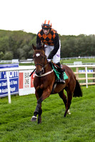 Benefique , 4th, Jockey - B T O'Connell -FT8E2907-e