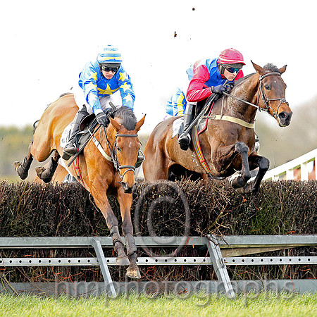 01st HAYLEY BELLE and M J O'Hare ( 6 , ROYAL BLUE,yellow star; royal blue,yellow stars sleeves; royal blue  yellow hooped cap ) Trainer: J.G. Cosgrave,, Owner : Ian W. Moore
