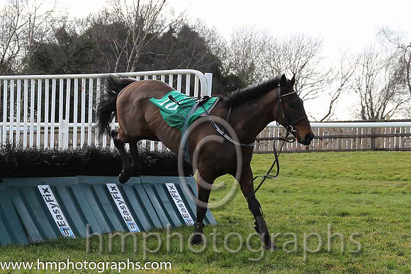 Race 3 B - Theoystercatcher (IRE) (10 ) Jockey: D E Mullins - Trainer: P A Fahy - green and yellow check