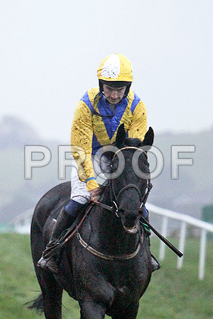 Koko Lane , Winner , Jockey - Mr P W Mullins - FT8E5600-e