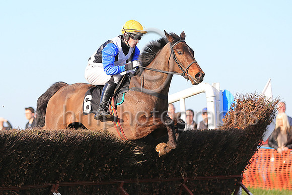 01st ROSSAMILAN and l O'Carroll ( 6 , BLACK,white cross belts; blue sleeves; yellow cap ) Trainer: Paul McAleese , Owner : Laura McAleese