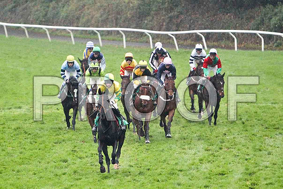 Hidden Profit , Fell - Jockey C D Maxwell in the lead - FT8E5474-e