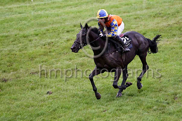 Mister Nibbles & Mr S Crawford - winner (21, orange, royal blue star) - FT8E5482-e2