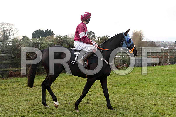 Guts for Garters , Jockey A P Heskin - Fell - FT8E4861-e