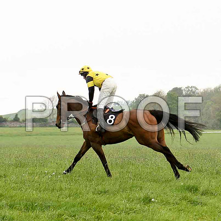 Kircassock Vic, 4th, Jockey D L Queally - FT8E2472-e