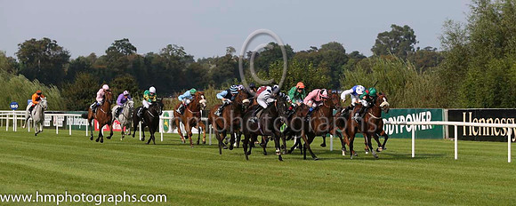 01 Toe The Line and F M Berry - - 01st (9 ,pink, black hoop ) Trainer - J E Keily