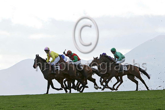 Lord Baltimore (23) & D J Foster - 7th , Gee Enne Two (19) & P J Flood  - FT8E9266-e