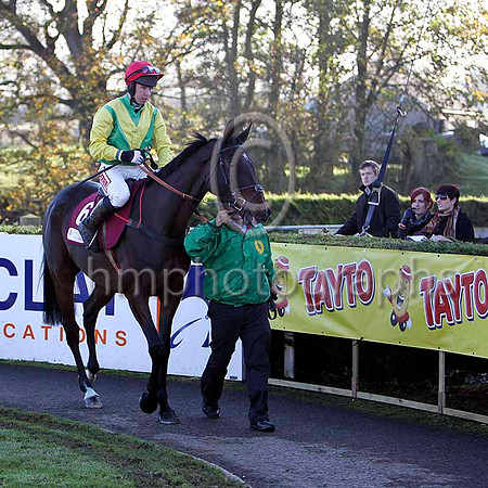 Sizing Europe , 2nd - Jockey A E Lynch - FT8E6986-e