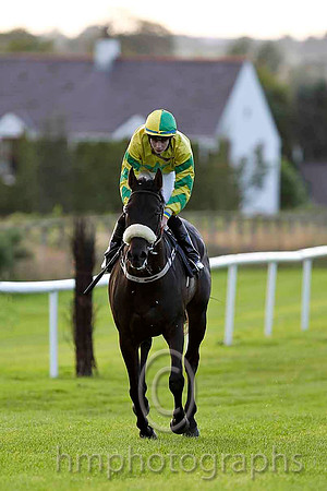 Golan Heights & R P Whelan - 8th (6, yellow, emerald green star) - CU2D3461-e